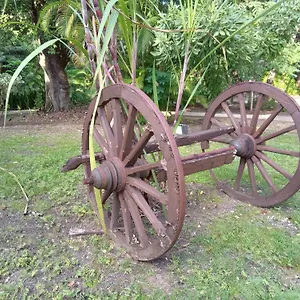 les-pieds-dans-leau-chez-syl.comcaribbean.com/